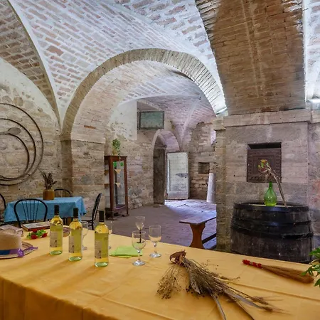 Valguerriera - Rosa Bianca Pian di Mulino