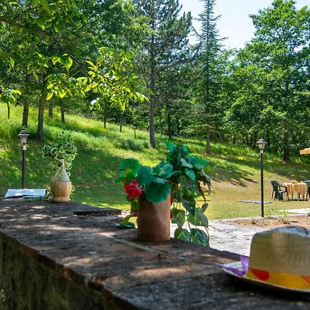 Valguerriera - Rosa Bianca *